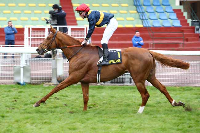 Photo d'arrivée de la course pmu PRIX DES TAMBOURAINES à COMPIEGNE le Lundi 16 mars 2020