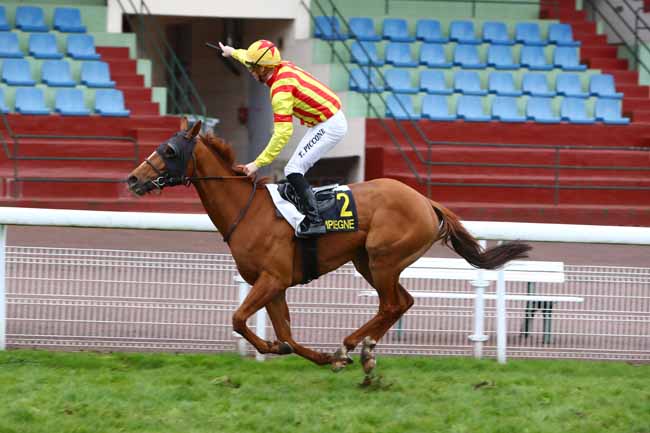 Photo d'arrivée de la course pmu PRIX DE BONNEUIL-EN-VALOIS à COMPIEGNE le Lundi 16 mars 2020
