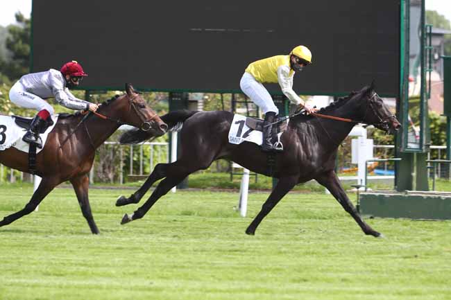 Photo d'arrivée de la course pmu PRIX KASHMIR II à SAINT-CLOUD le Mardi 12 mai 2020