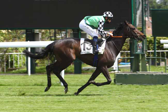 Photo d'arrivée de la course pmu PRIX PRALINE à SAINT-CLOUD le Mardi 12 mai 2020