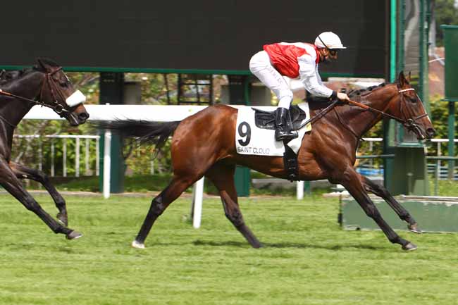 Photo d'arrivée de la course pmu PRIX TOURBILLON à SAINT-CLOUD le Mardi 12 mai 2020