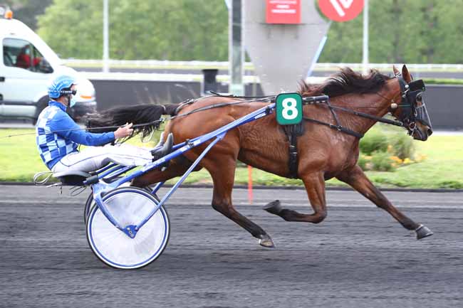 Photo d'arrivée de la course pmu PRIX THUSNELDA à PARIS-VINCENNES le Mardi 12 mai 2020