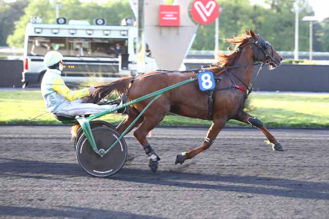 Photo d'arrivée de la course pmu PRIX KATHARINA à PARIS-VINCENNES le Mardi 12 mai 2020
