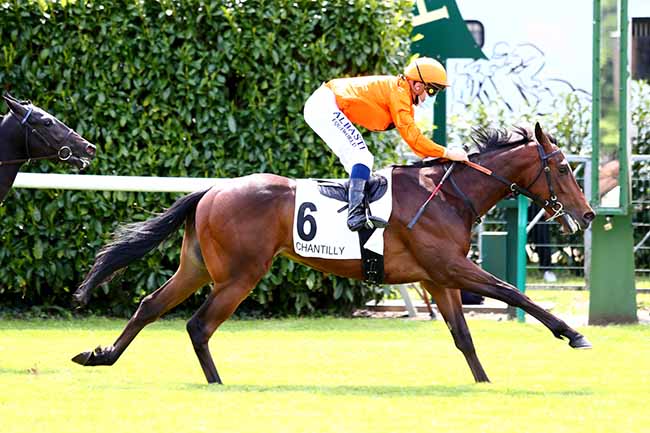 Photo d'arrivée de la course pmu PRIX D'ORGEMONT à CHANTILLY le Mercredi 13 mai 2020