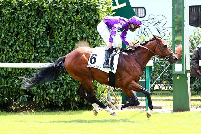 Photo d'arrivée de la course pmu PRIX DES VENEURS à CHANTILLY le Mercredi 13 mai 2020