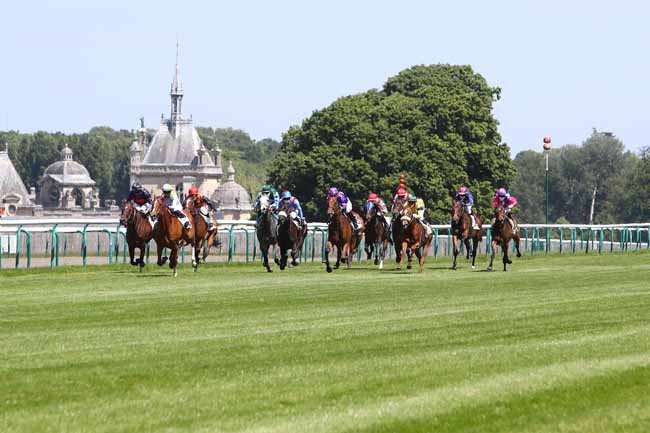 Photo d'arrivée de la course pmu PRIX DES PISTES D'ENTRAINEMENT à CHANTILLY le Lundi 18 mai 2020