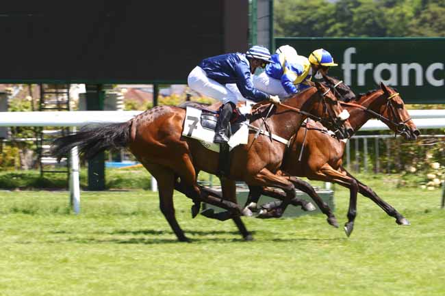 Photo d'arrivée de la course pmu PRIX D'ESTRUVAL à SAINT-CLOUD le Mardi 19 mai 2020