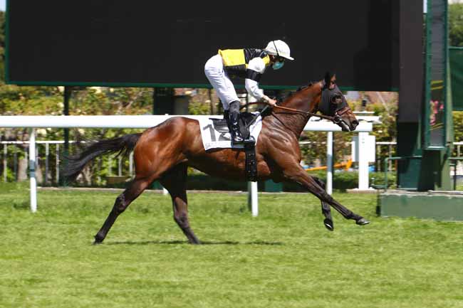 Photo d'arrivée de la course pmu PRIX DE L'AULNE à SAINT-CLOUD le Mardi 19 mai 2020