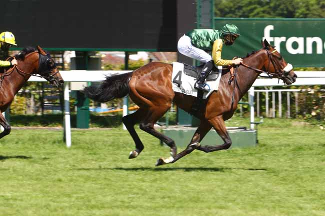 Photo d'arrivée de la course pmu PRIX DE LA GAILLARDERIE à SAINT-CLOUD le Mardi 19 mai 2020