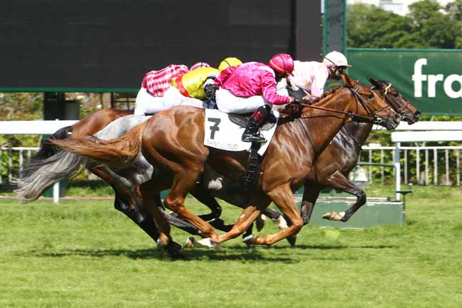 Photo d'arrivée de la course pmu PRIX DU LIEU MARMION à SAINT-CLOUD le Mardi 19 mai 2020