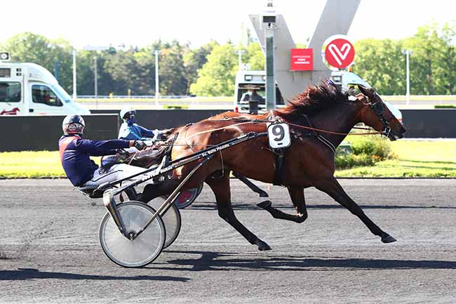 Photo d'arrivée de la course pmu PRIX HERACLITE à PARIS-VINCENNES le Mardi 19 mai 2020