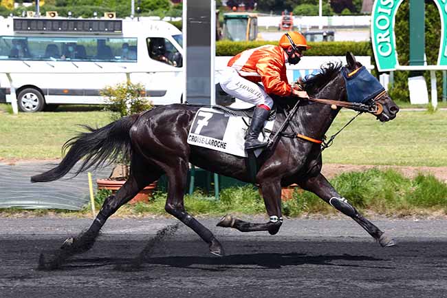 Photo d'arrivée de la course pmu PRIX DU PRINTEMPS à LE CROISE-LAROCHE le Mercredi 20 mai 2020