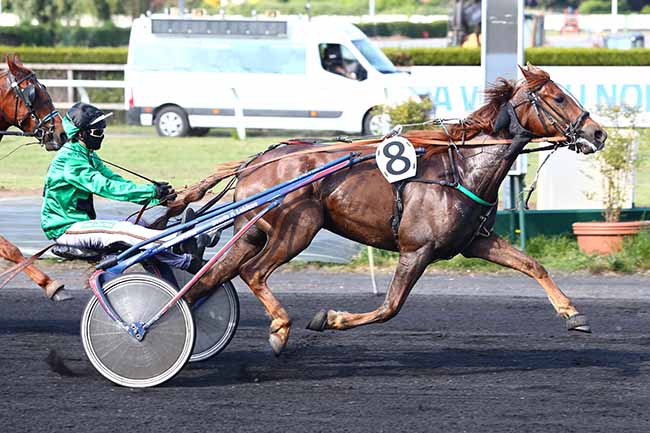 Photo d'arrivée de la course pmu PRIX DU NORD à LE CROISE-LAROCHE le Mercredi 20 mai 2020