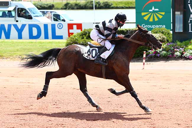 Photo d'arrivée de la course pmu PRIX DU PONT DU GARIGLIANO à LAVAL le Samedi 23 mai 2020