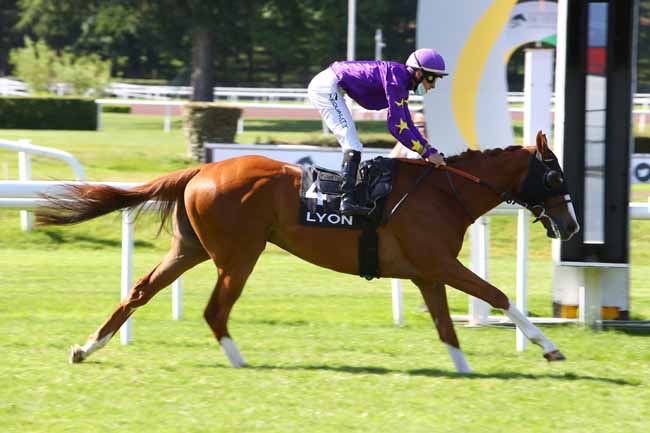 Photo d'arrivée de la course pmu PRIX DE MIDI-PYRENEES à LYON-PARILLY le Lundi 25 mai 2020