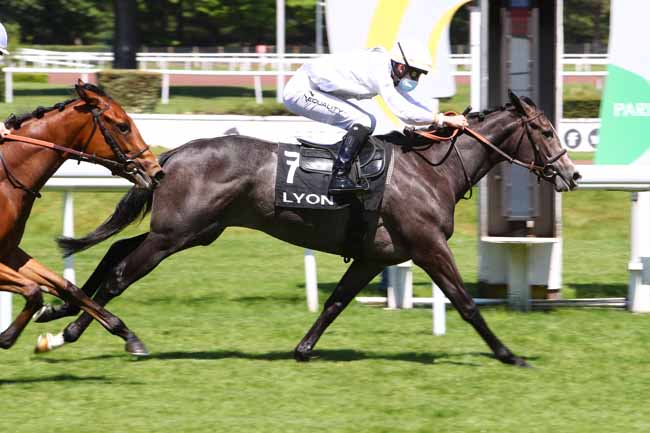 Photo d'arrivée de la course pmu PRIX LA BELLE II à LYON-PARILLY le Lundi 25 mai 2020
