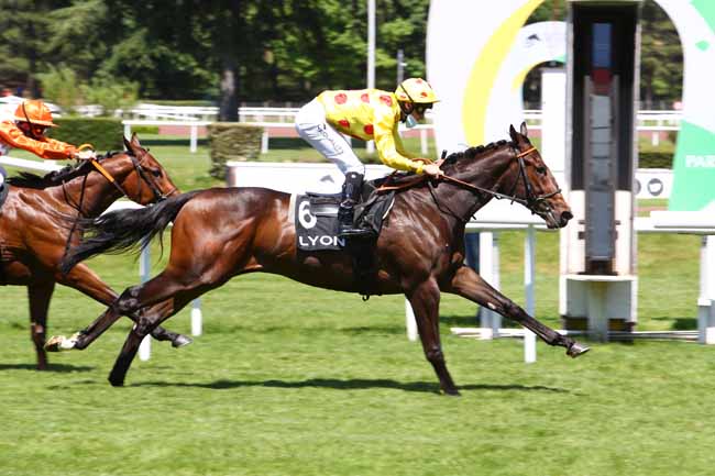 Photo d'arrivée de la course pmu PRIX HUNYADE à LYON-PARILLY le Lundi 25 mai 2020