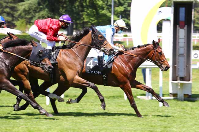 Photo d'arrivée de la course pmu PRIX BRULEUR à LYON-PARILLY le Lundi 25 mai 2020