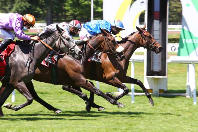 Photo d'arrivée de la course pmu PRIX D'AQUITAINE à LYON-PARILLY le Lundi 25 mai 2020