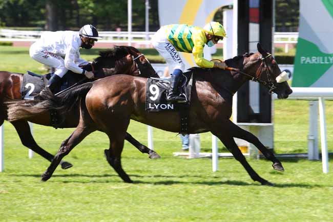 Photo d'arrivée de la course pmu PRIX DU JARDIN STERN à LYON-PARILLY le Lundi 25 mai 2020