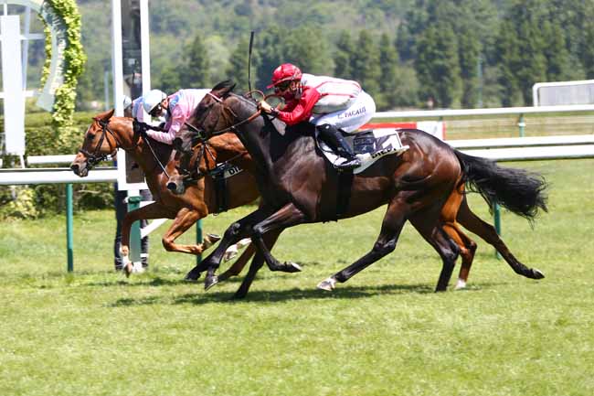 Photo d'arrivée de la course pmu PRIX DES SARDINIERS à DIEPPE le Mardi 26 mai 2020