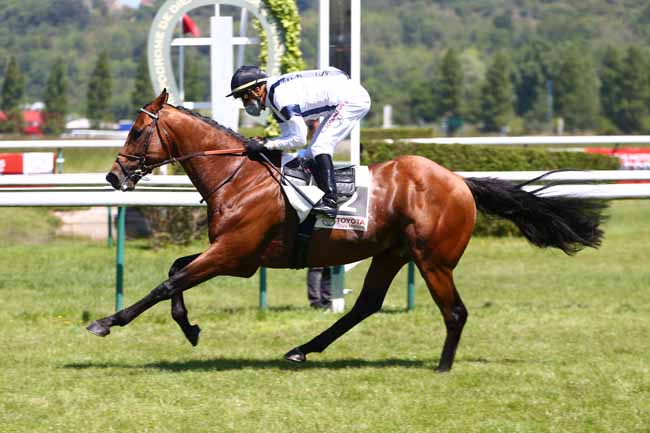Photo d'arrivée de la course pmu PRIX TOYOTA TOYS MOTORS à DIEPPE le Mardi 26 mai 2020