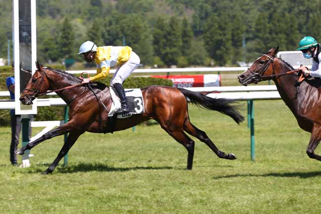 Photo d'arrivée de la course pmu PRIX DE LA TOUR AUX CRABES à DIEPPE le Mardi 26 mai 2020