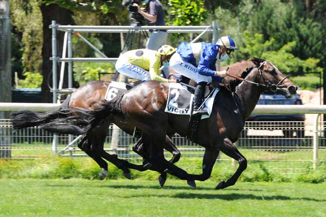 Photo d'arrivée de la course pmu PRIX DE BRICHEBAY à VICHY le Mercredi 27 mai 2020