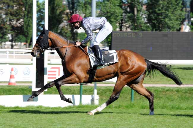 Photo d'arrivée de la course pmu PRIX DE LA PRAIRIE à VICHY le Mercredi 27 mai 2020