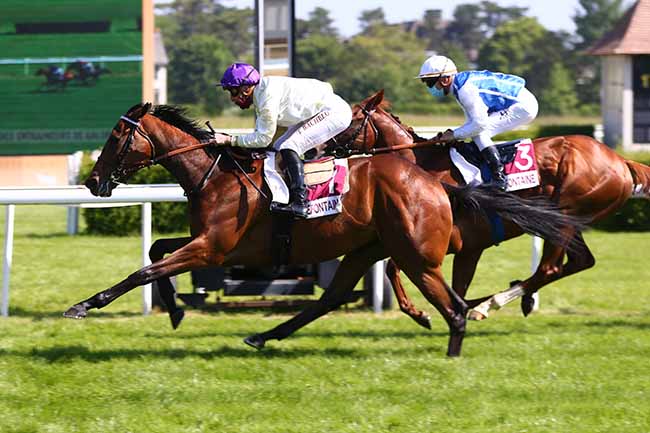 Photo d'arrivée de la course pmu PRIX DU PONT DU ROI à CLAIREFONTAINE le Jeudi 28 mai 2020