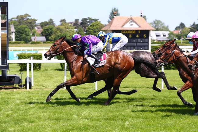 Photo d'arrivée de la course pmu PRIX DU MARCHE AUX FLEURS à CLAIREFONTAINE le Jeudi 28 mai 2020