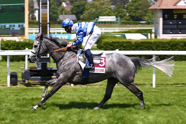 Photo d'arrivée de la course pmu PRIX DE DOUVILLE à CLAIREFONTAINE le Jeudi 28 mai 2020