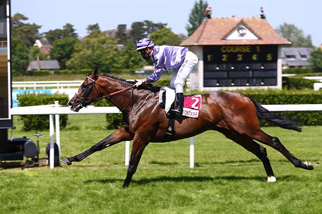 Photo d'arrivée de la course pmu PRIX DES EPINETTES à CLAIREFONTAINE le Jeudi 28 mai 2020