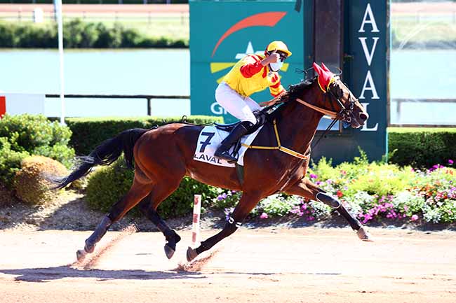 Photo d'arrivée de la course pmu PRIX LAVATER à LAVAL le Vendredi 29 mai 2020