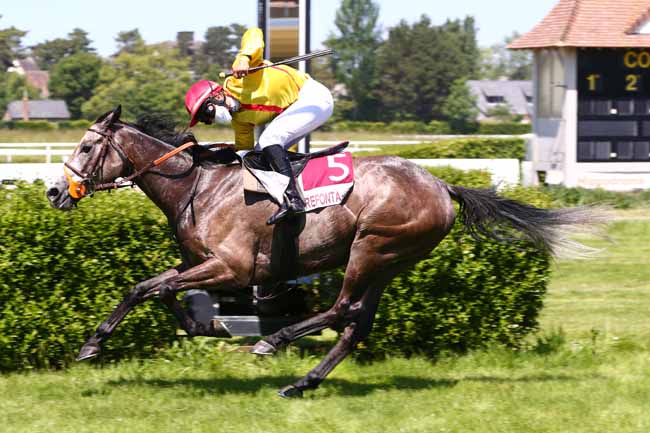 Photo d'arrivée de la course pmu PRIX GOPAL à CLAIREFONTAINE le Samedi 30 mai 2020