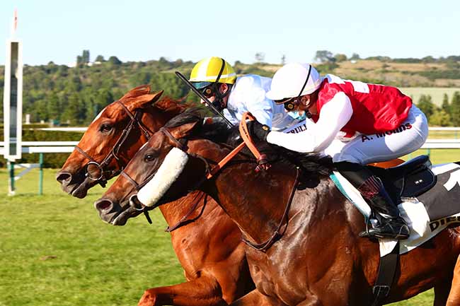 Photo d'arrivée de la course pmu PRIX DE MONTESSON à DIEPPE le Samedi 30 mai 2020