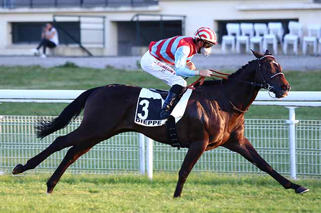 Photo d'arrivée de la course pmu PRIX DE LA STATUE DE PROSERPINE à DIEPPE le Samedi 30 mai 2020