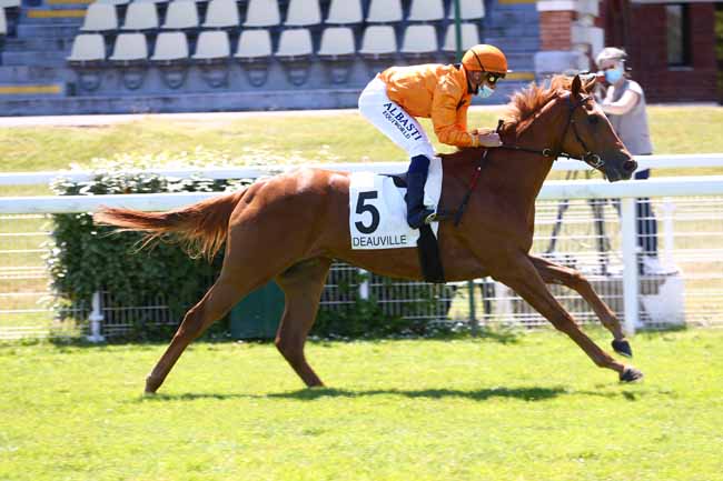 Photo d'arrivée de la course pmu PRIX DE MONT-L'EVEQUE à DEAUVILLE le Dimanche 31 mai 2020