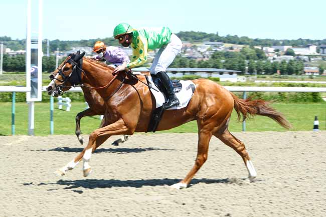 Photo d'arrivée de la course pmu PRIX DU PETIT BOIS à DEAUVILLE le Lundi 1 juin 2020