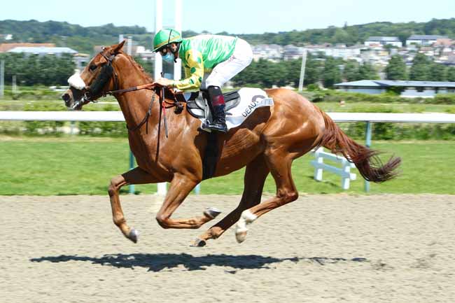 Photo d'arrivée de la course pmu PRIX DU BOIS DU RUSSE à DEAUVILLE le Lundi 1 juin 2020