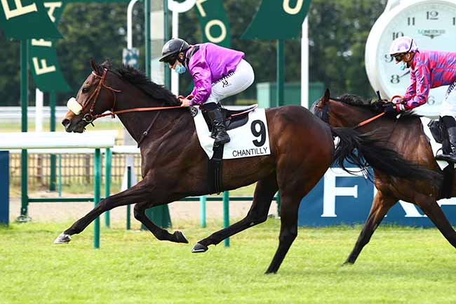 Photo d'arrivée de la course pmu PRIX DE SAINT-ANDRE à CHANTILLY le Mercredi 3 juin 2020