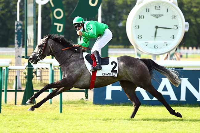 Photo d'arrivée de la course pmu PRIX LEON TACQUET à CHANTILLY le Mercredi 3 juin 2020