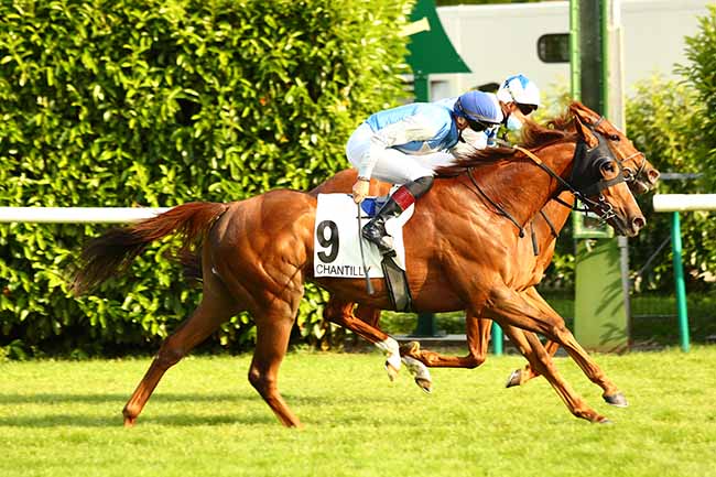 Photo d'arrivée de la course pmu PRIX DE BOUVINES à CHANTILLY le Mercredi 3 juin 2020