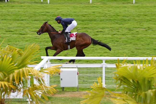 Photo d'arrivée de la course pmu PRIX DES ORFEVRES à CLAIREFONTAINE le Jeudi 4 juin 2020