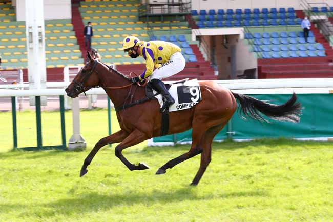 Photo d'arrivée de la course pmu PRIX CHRISTIAN DE TREDERN à COMPIEGNE le Dimanche 7 juin 2020