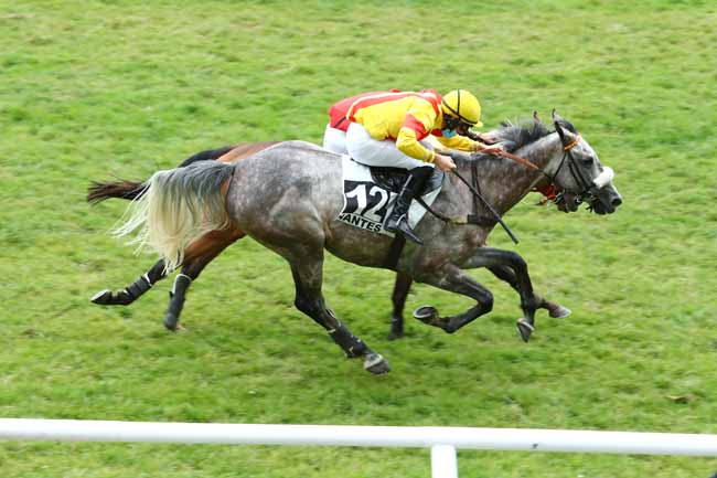 Photo d'arrivée de la course pmu PRIX GERALD DE ROCHEFORT à NANTES le Mardi 9 juin 2020