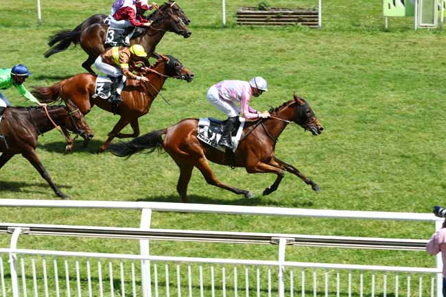 Photo d'arrivée de la course pmu PRIX HAIFA à NANTES le Mardi 9 juin 2020