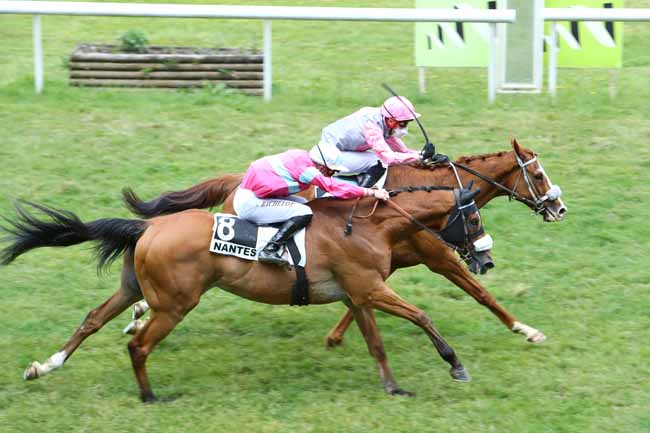 Photo d'arrivée de la course pmu PRIX BELLAMY à NANTES le Mardi 9 juin 2020