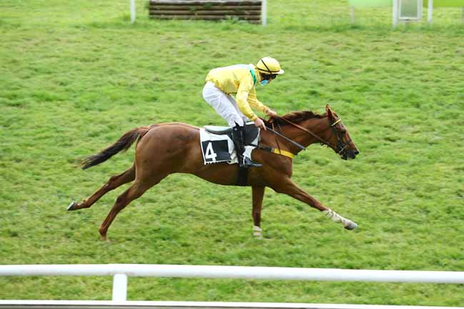 Photo d'arrivée de la course pmu PRIX PONTAVICE à NANTES le Mardi 9 juin 2020