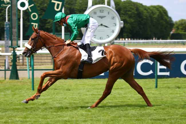 Photo d'arrivée de la course pmu PRIX DE ROYAUMONT à CHANTILLY le Mercredi 10 juin 2020